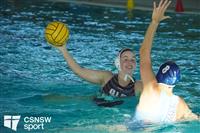CSS09563-watermarked