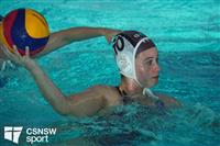 CSS09617-watermarked