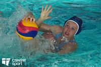CSS09637-watermarked