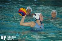 CSS07886-watermarked