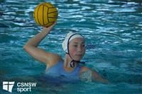 CSS07903-watermarked