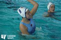 CSS07965-watermarked