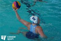 CSS07971-watermarked
