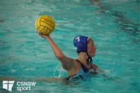 CSS08060-watermarked