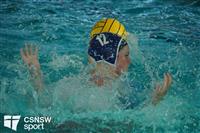 CSS09385-watermarked