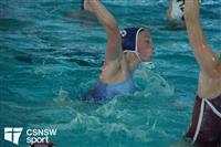 CSS09431-watermarked