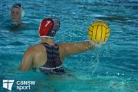 CSS09438-watermarked
