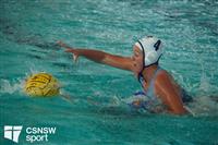 CSS08174-watermarked