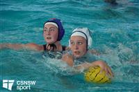 CSS08258-watermarked