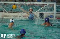 CSS08322-watermarked