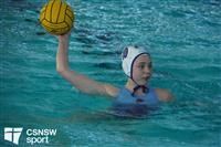 CSS08341-watermarked