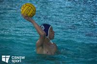 CSS08421-watermarked