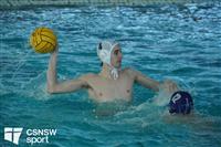 CSS08466-watermarked