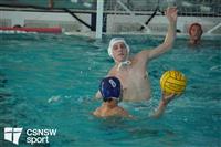 CSS08503-watermarked