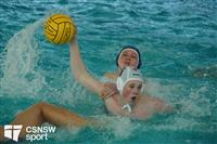 CSS08540-watermarked