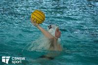 CSS08568-watermarked
