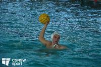 CSS08648-watermarked