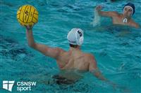 CSS08664-watermarked