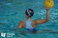 CSS08735-watermarked