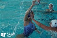 CSS08874-watermarked