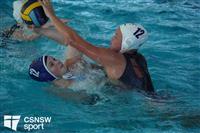 CSS08947-watermarked