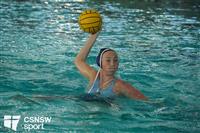 CSS09056-watermarked