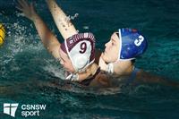 CSS09488-watermarked