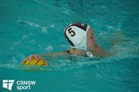 CSS09550-watermarked