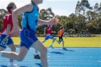Dio_Athletics_Primary_2024-21