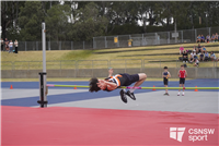 mackillop landscape (170)