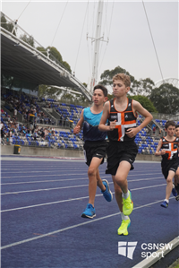 Mackillop portrait' (13)