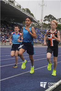 Mackillop portrait' (18)