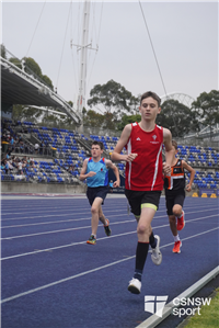 Mackillop portrait' (24)