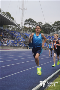 Mackillop portrait' (25)