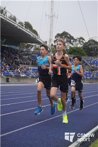 Mackillop portrait' (28)