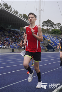 Mackillop portrait' (30)