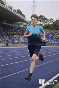 Mackillop portrait' (32)