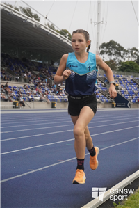 Mackillop portrait' (90)