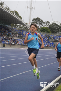 Mackillop portrait' (113)