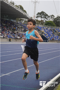 Mackillop portrait' (114)