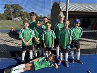 boys dio hockey team