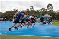 341c3bc7-33f9-4c4e-ae8e-ce06d0884a8a