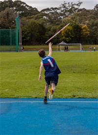 92cde1b7-897c-4d34-8142-480281ee6810