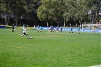 DSC04423