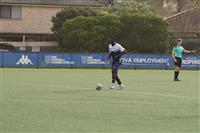 DSC04685