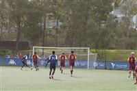 DSC04729