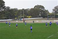 DSC06552