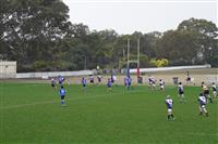 DSC06553