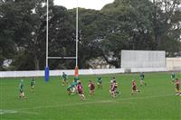 DSC06619