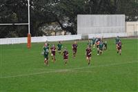 DSC06630